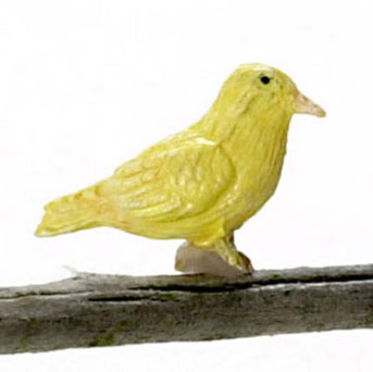 Dollhouse Miniature Norwich  Fancy Canary